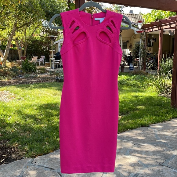 🌺 Diane von Furstenberg; STUNNING Fuschia Dress 0 - Picture 4 of 16